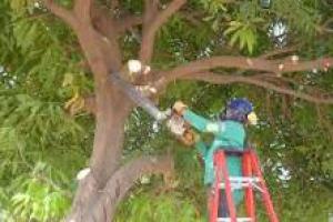 Oficios Sin datos  OFICIOS.